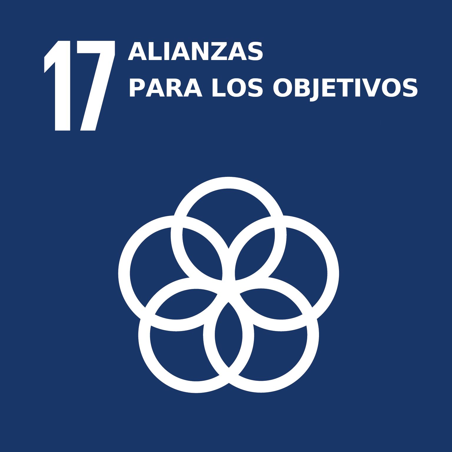 ODS 17 — Alianzas para Lograr los Objetivos